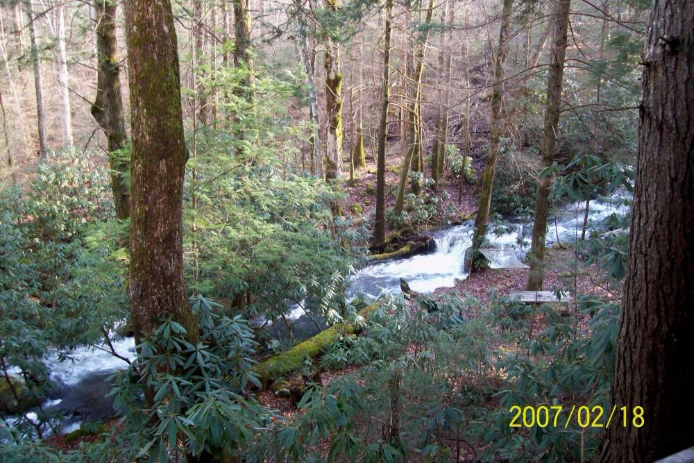 Garden of Eden Cabins