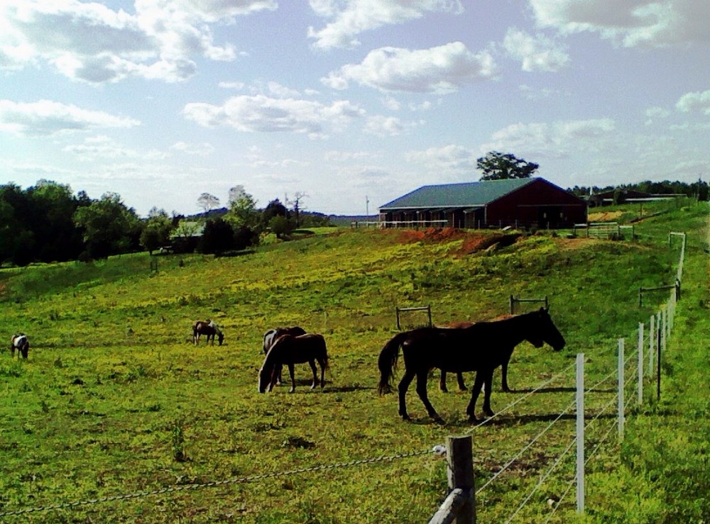 Meadow Creek Mountain Ranch