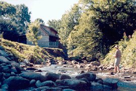 Moore's Cabins