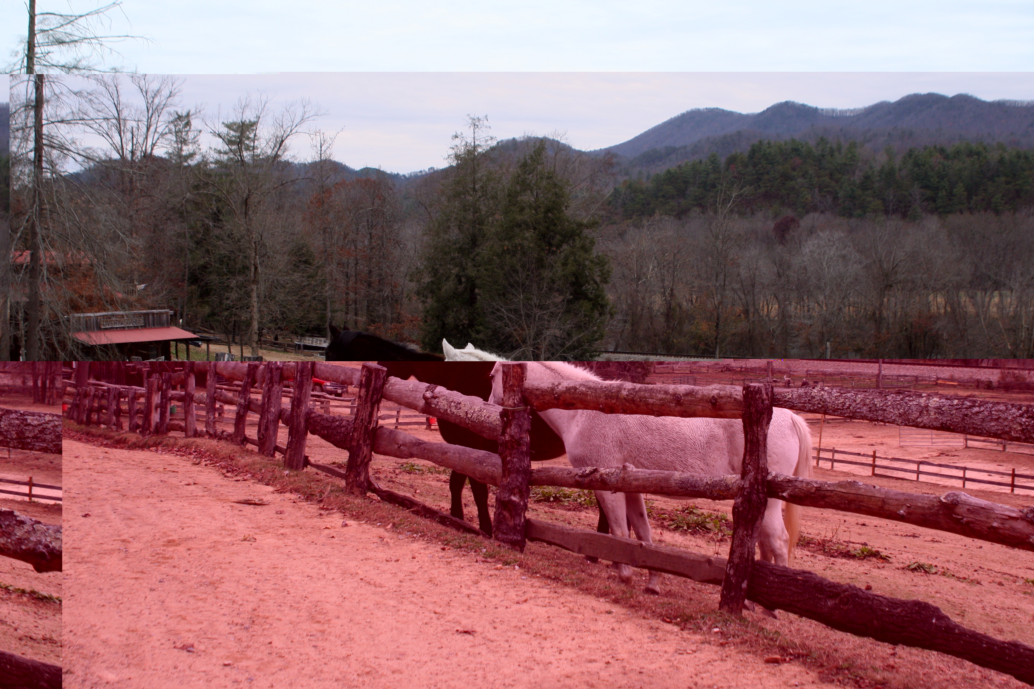 French Broad Outpost Dude Ranch
