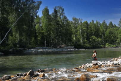 fishing-image